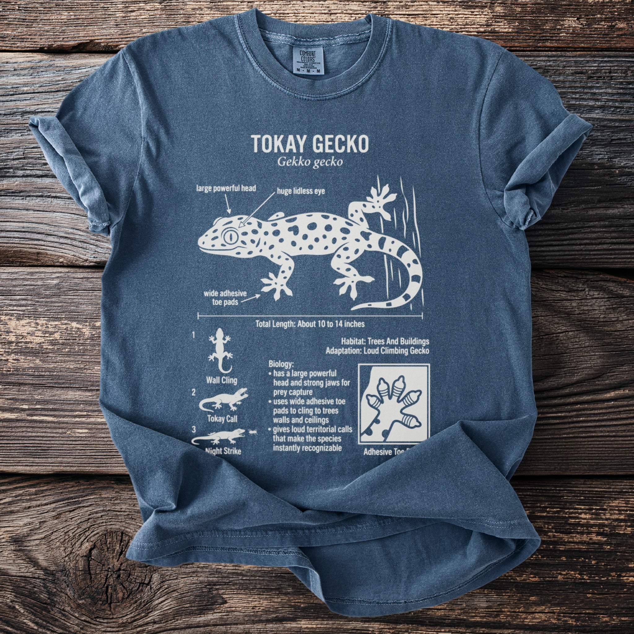 Tokay gecko diagram with text on a blue t-shirt.
