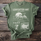 Green t-shirt with diagram of leafcutter ant, its anatomy, and fungus farm.