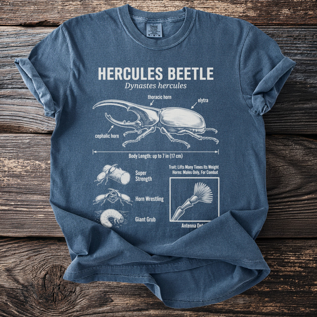 Blue t-shirt featuring an annotated diagram of a Hercules beetle and its life stages.