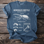Blue t-shirt featuring an annotated diagram of a Hercules beetle and its life stages.