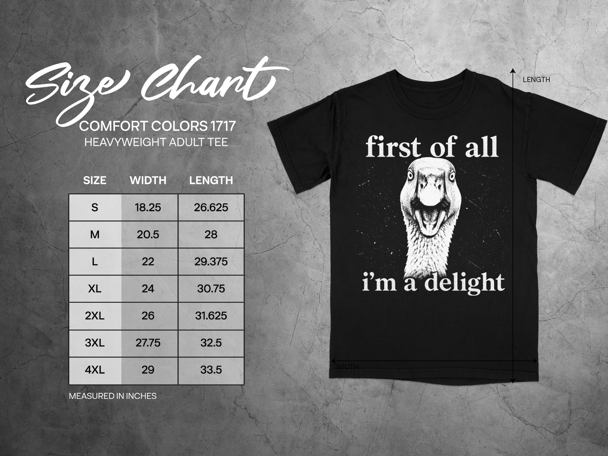Comfort Colors 1717 garment size chart in inches.