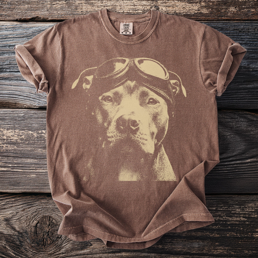 The Aviator: Pit Bull