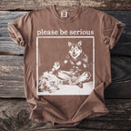 Brown t-shirt with "please be serious" and a wolf graphic.