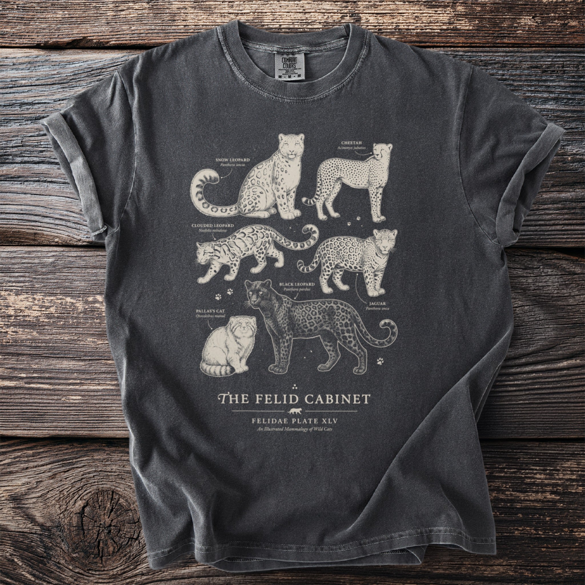 Dark grey t-shirt print featuring illustrations of various wild cats from "The Felid Cabinet."
