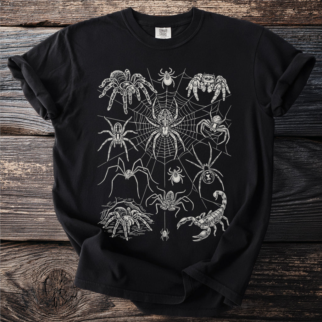Black t-shirt with a white line drawing of various spiders and a scorpion on a web.