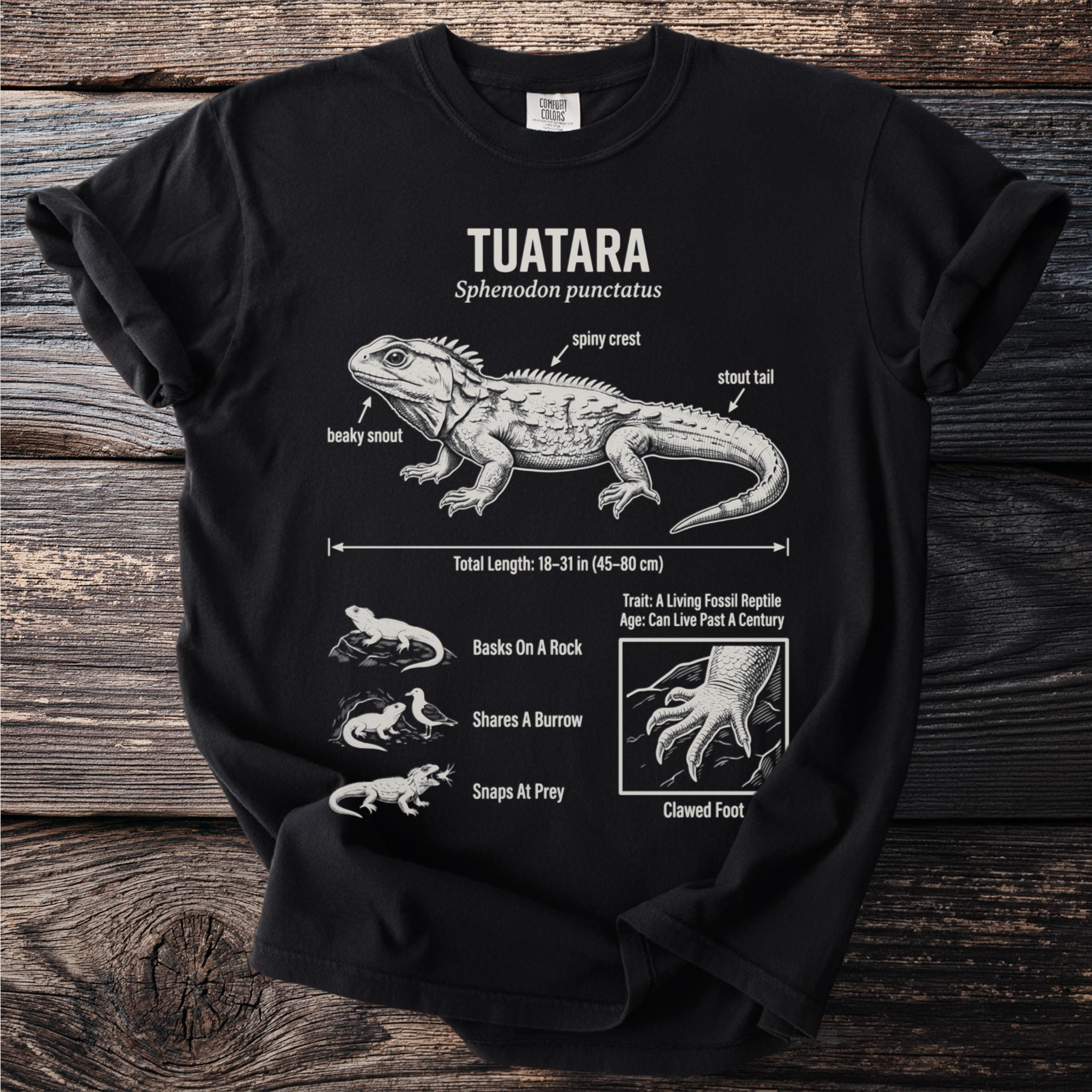 Black t-shirt featuring a Tuatara illustration with labeled features and traits.