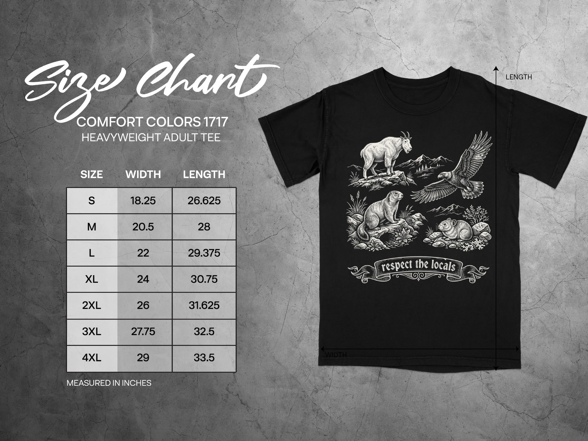 Comfort Colors 1717 heavyweight adult tee size chart with width and length measurements in inches.