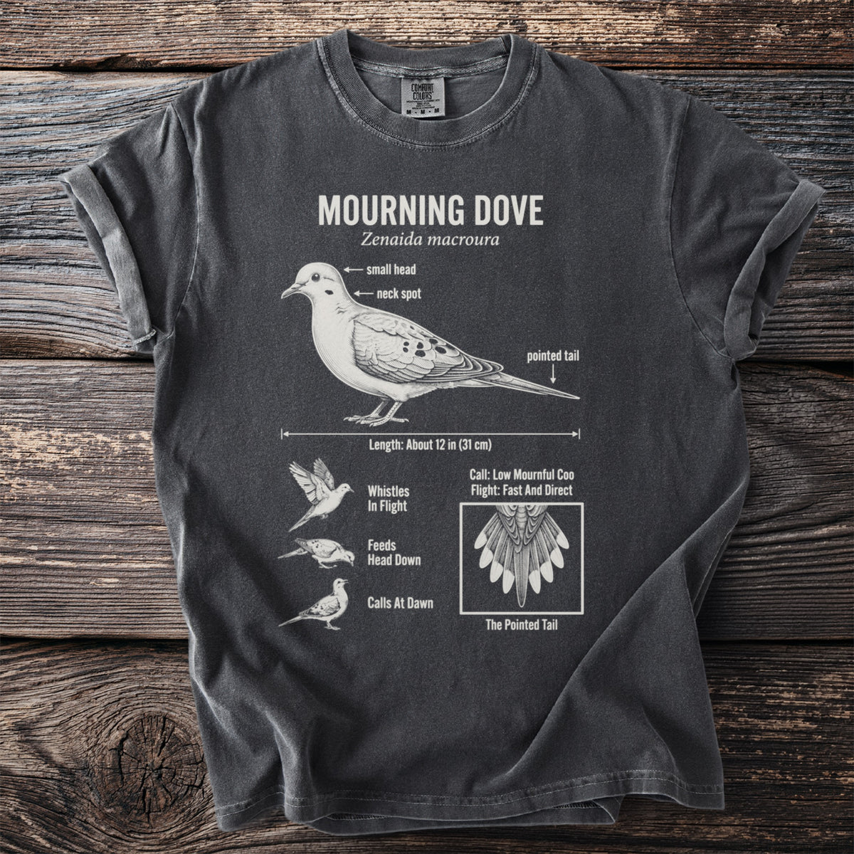 T-shirt with detailed diagram and facts about the Mourning Dove.