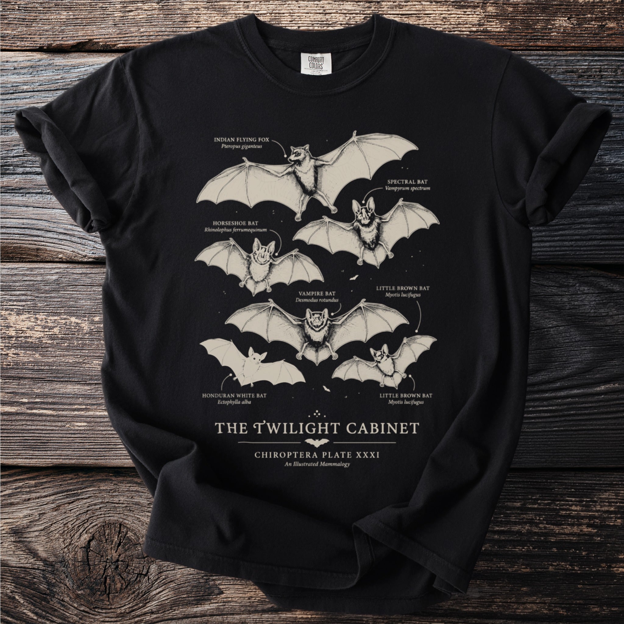 Black t-shirt with illustration of bats and text "The Twilight Cabinet".