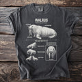 Walrus illustration with labels showing anatomical features, size, and behavior.