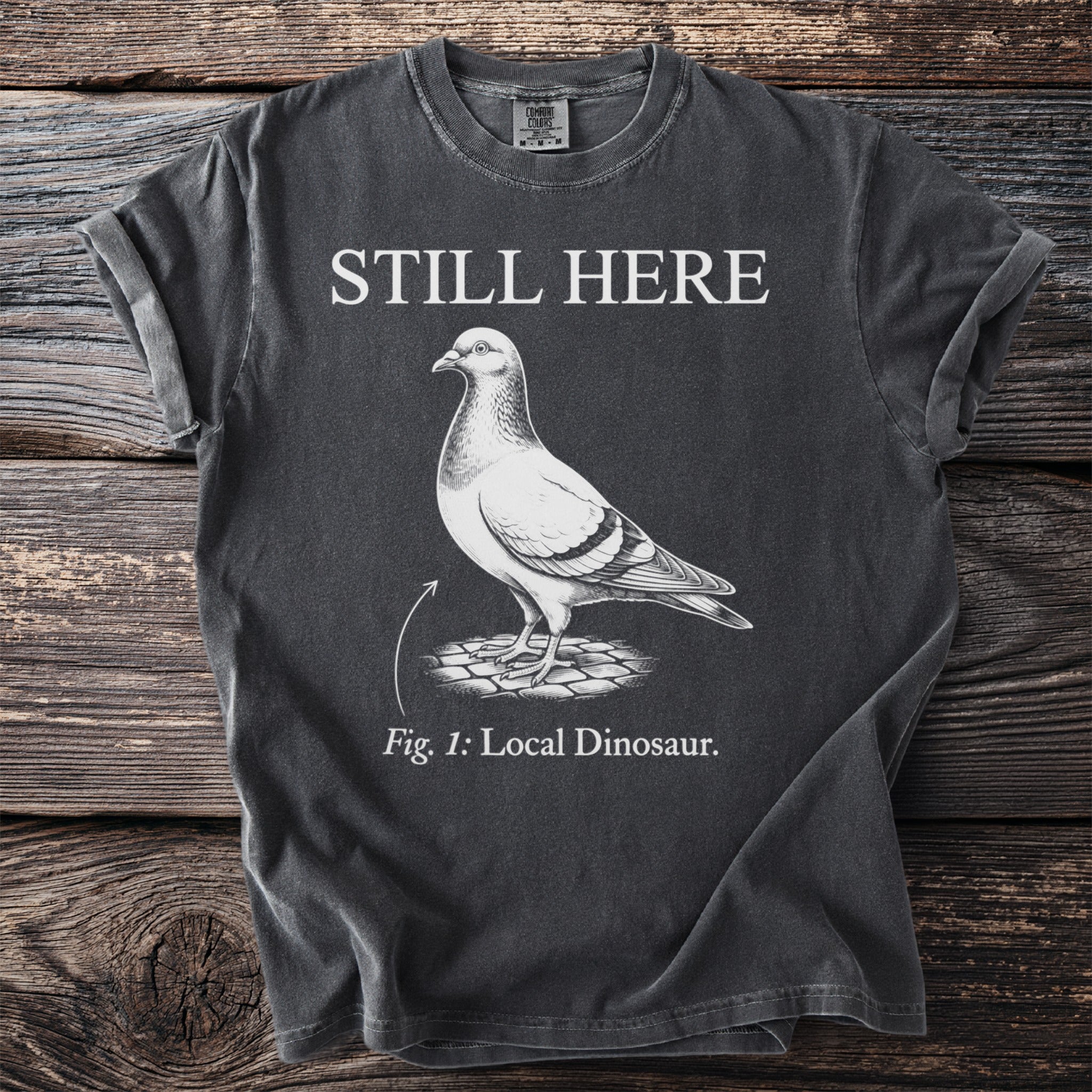 Dark gray t-shirt with "STILL HERE" above a pigeon labeled "Fig. 1: Local Dinosaur."