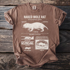 Brown t-shirt with Naked Mole Rat diagram, including "digging teeth" and "colony life".