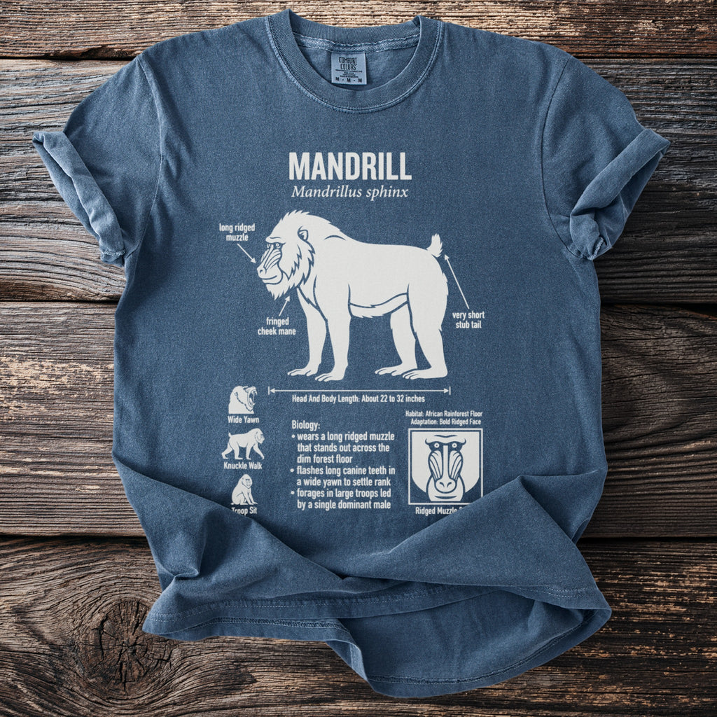 Mandrill t-shirt with scientific illustrations and information about its anatomy and biology.