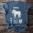 Mandrill t-shirt with scientific illustrations and information about its anatomy and biology.