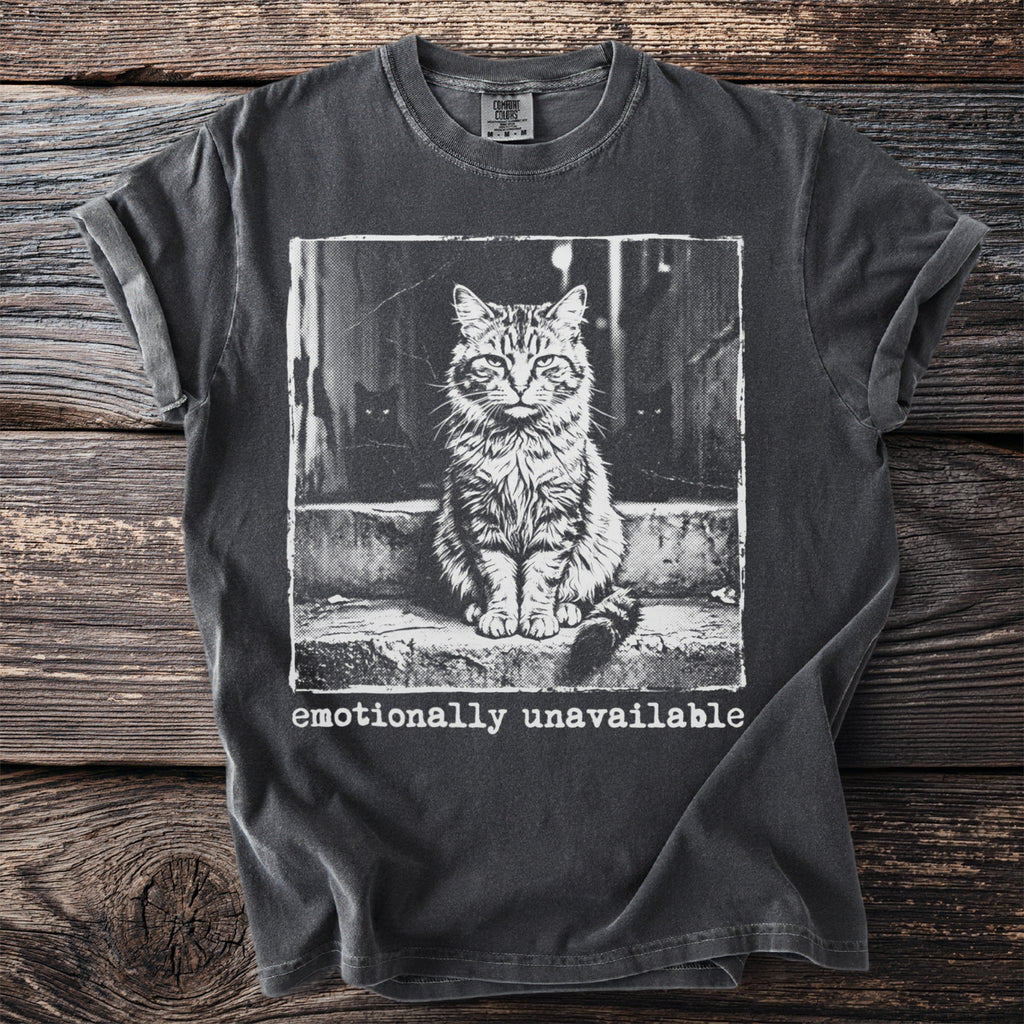 Dark grey t-shirt with a print of a cat sitting on steps and the words "emotionally unavailable".