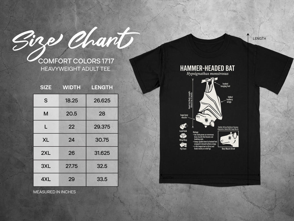Comfort Colors 1717 garment size chart in inches.
