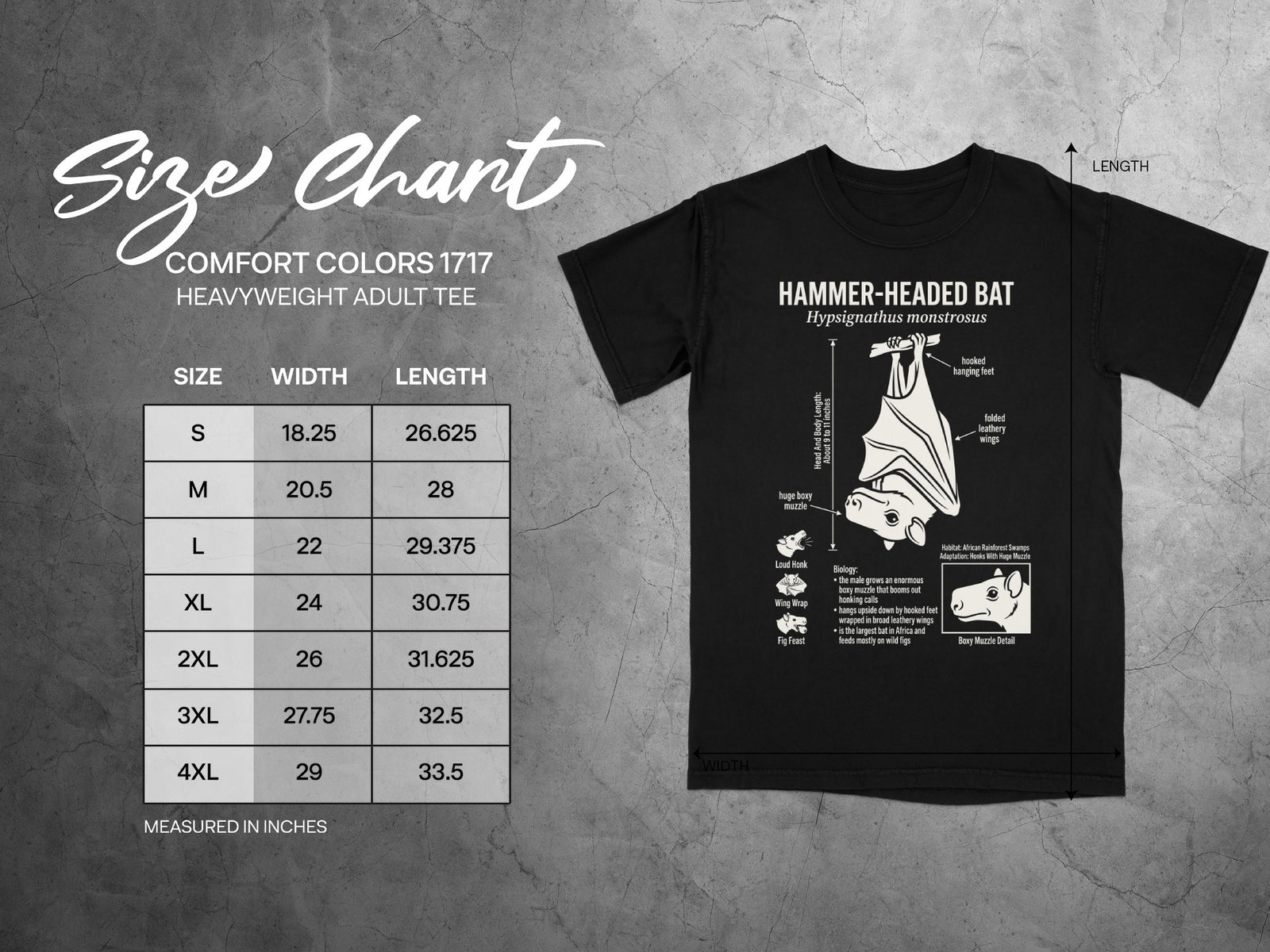 Comfort Colors 1717 garment size chart in inches.