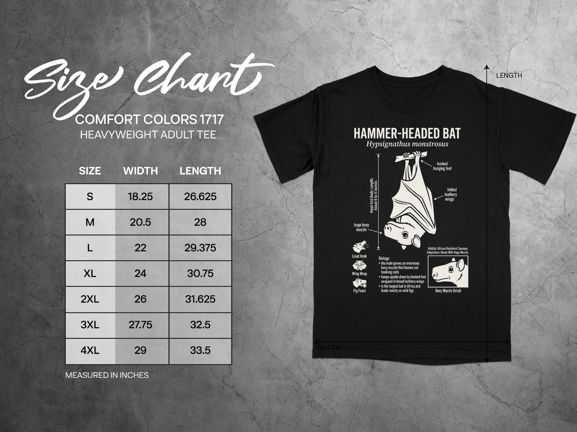 Comfort Colors 1717 garment size chart in inches.