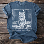 Cat sitting on steps with text "emotionally unavailable".