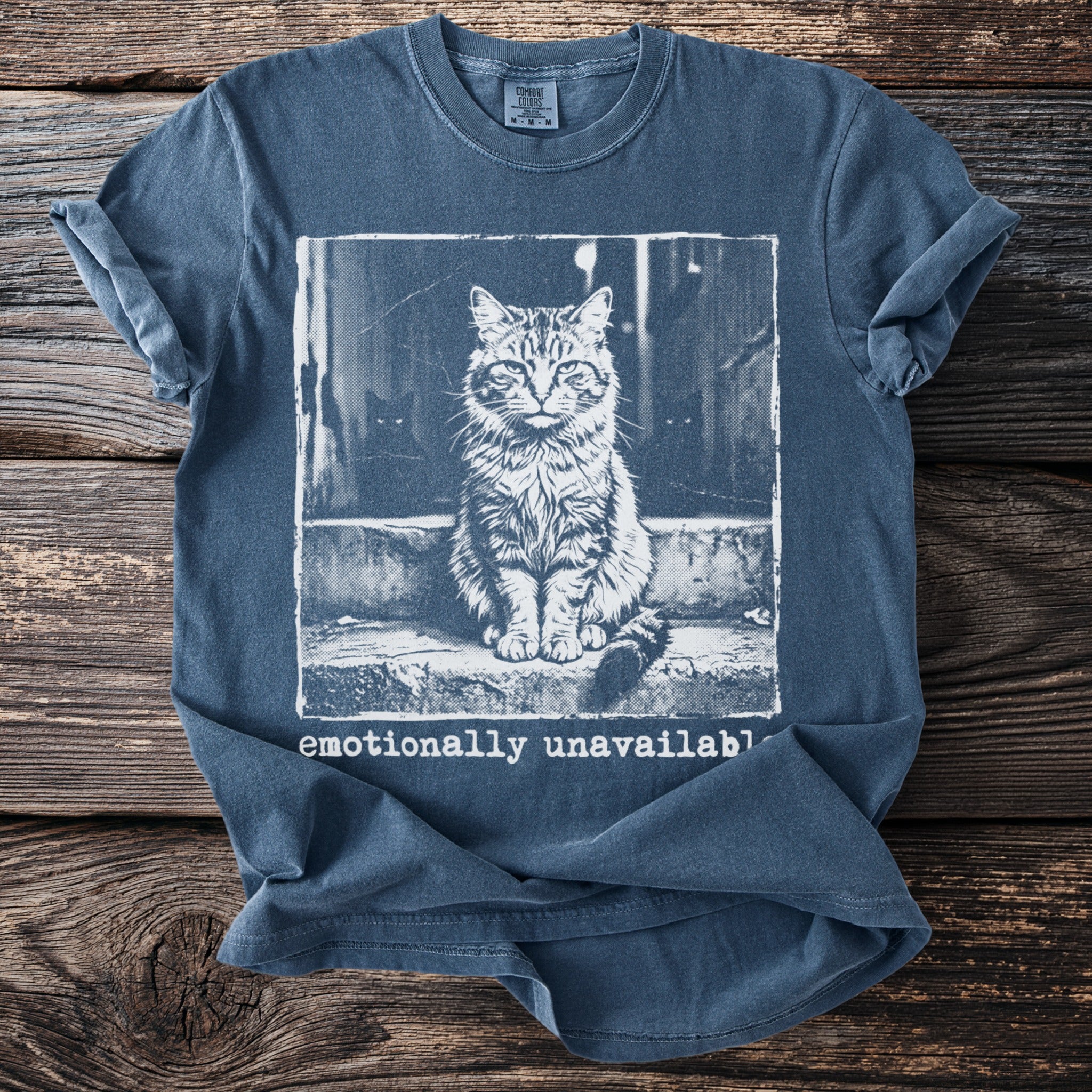 Cat sitting on steps with text "emotionally unavailable".
