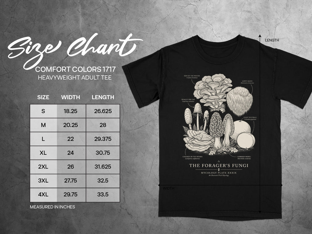 Comfort Colors heavyweight adult tee size chart with mushroom illustrations.