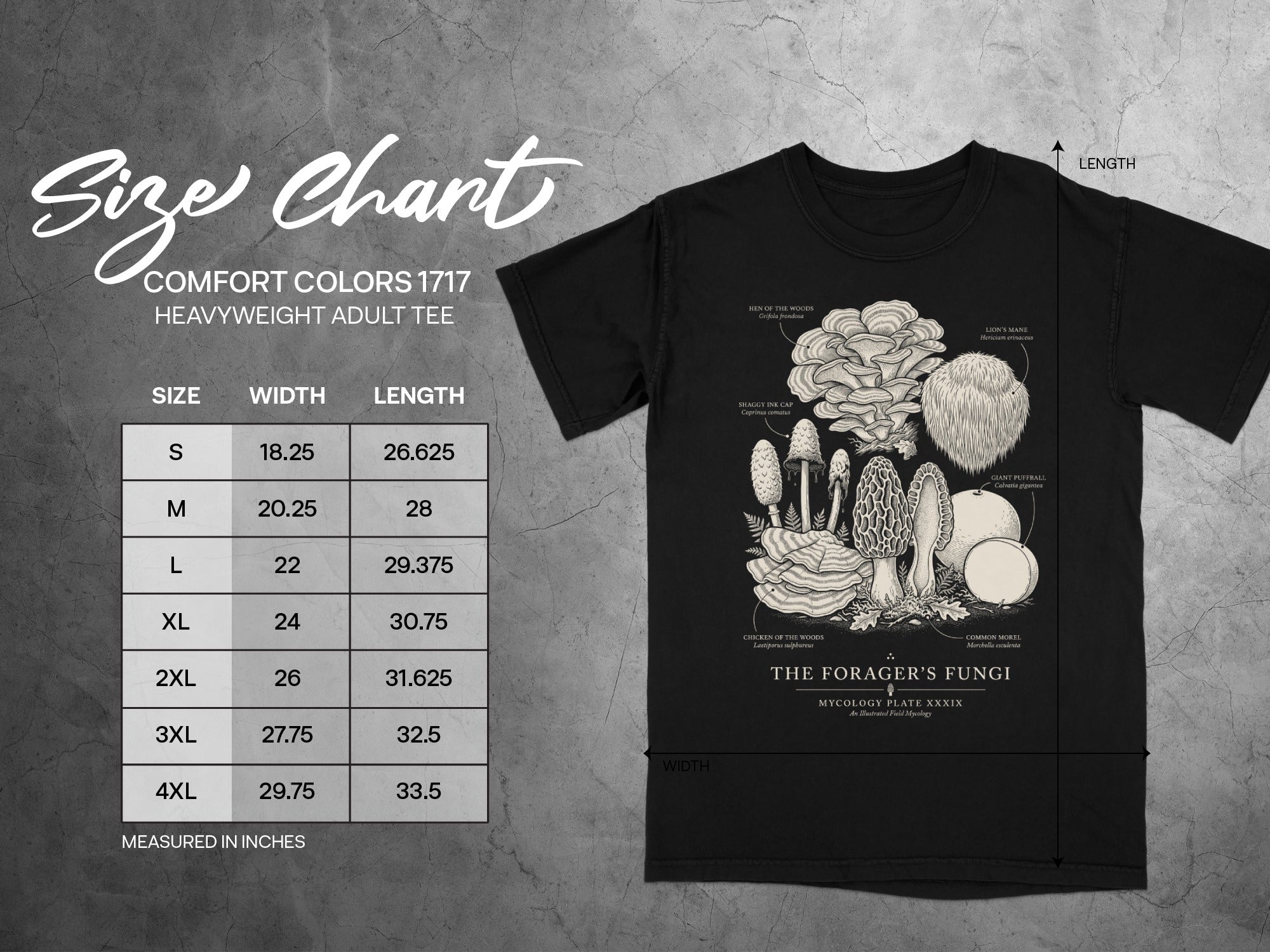 Comfort Colors heavyweight adult tee size chart with mushroom illustrations.