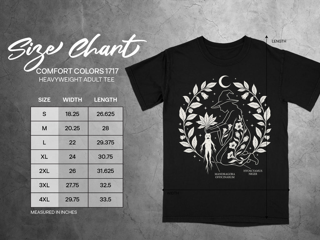 Comfort Colors 1717 heavyweight adult tee size chart with widths and lengths in inches.