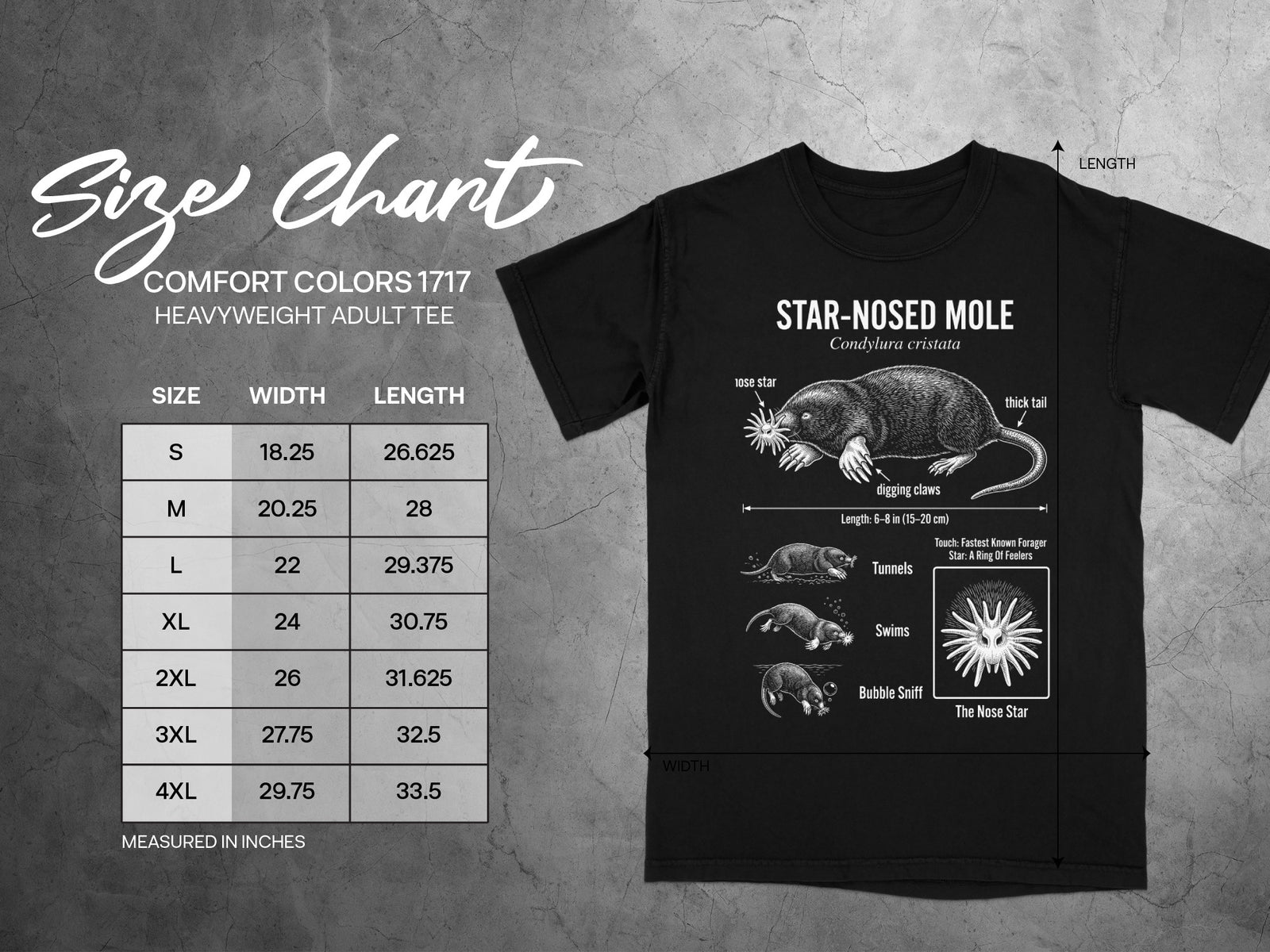 Size chart for Comfort Colors 1717 heavyweight adult tee featuring star-nosed mole illustration.