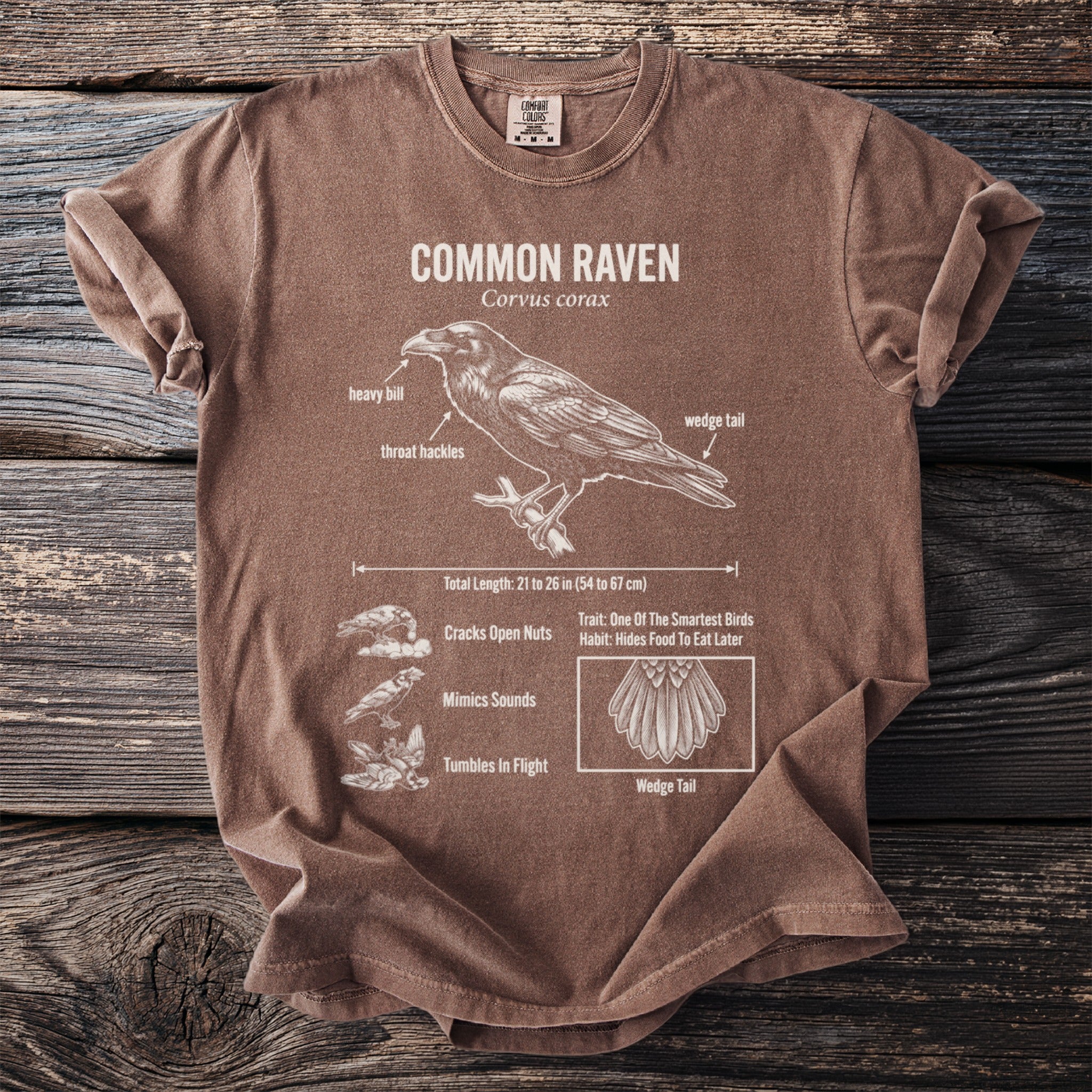 Brown t-shirt with Common Raven diagram, labeled anatomy, and ornithological facts.
