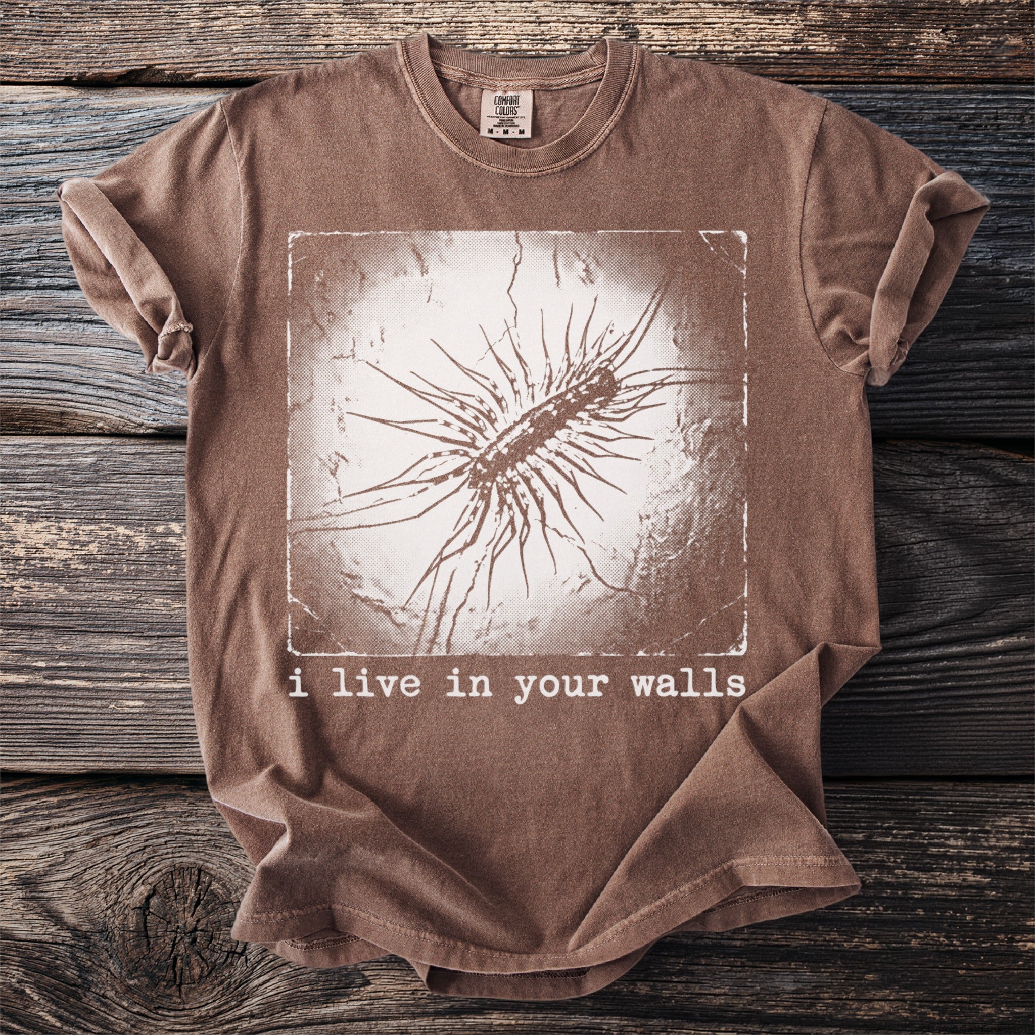 Brown t-shirt with a close-up graphic of a house centipede and text "i live in your walls".