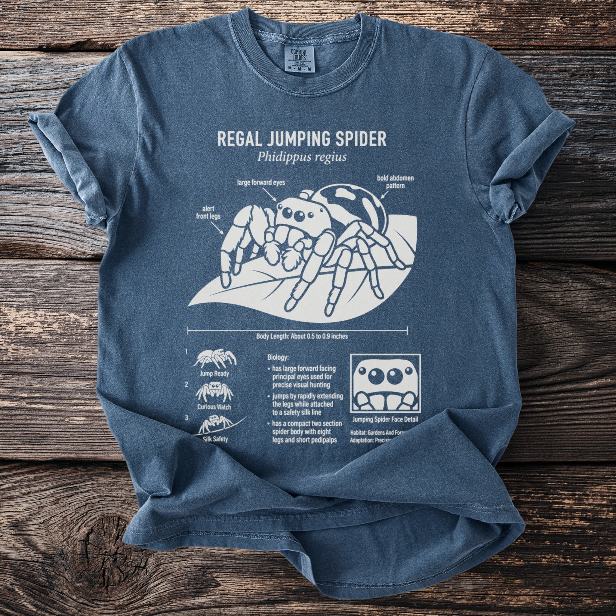 Blue t-shirt with Regal Jumping Spider illustration and informational text.