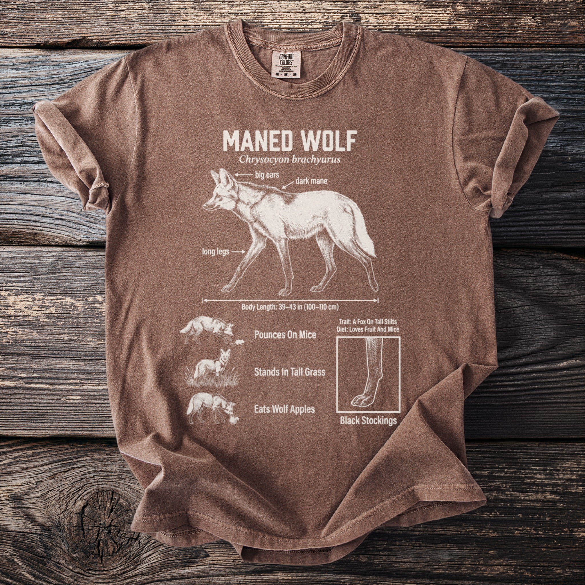 Brown t-shirt with a scientific illustration of a maned wolf and its characteristics.