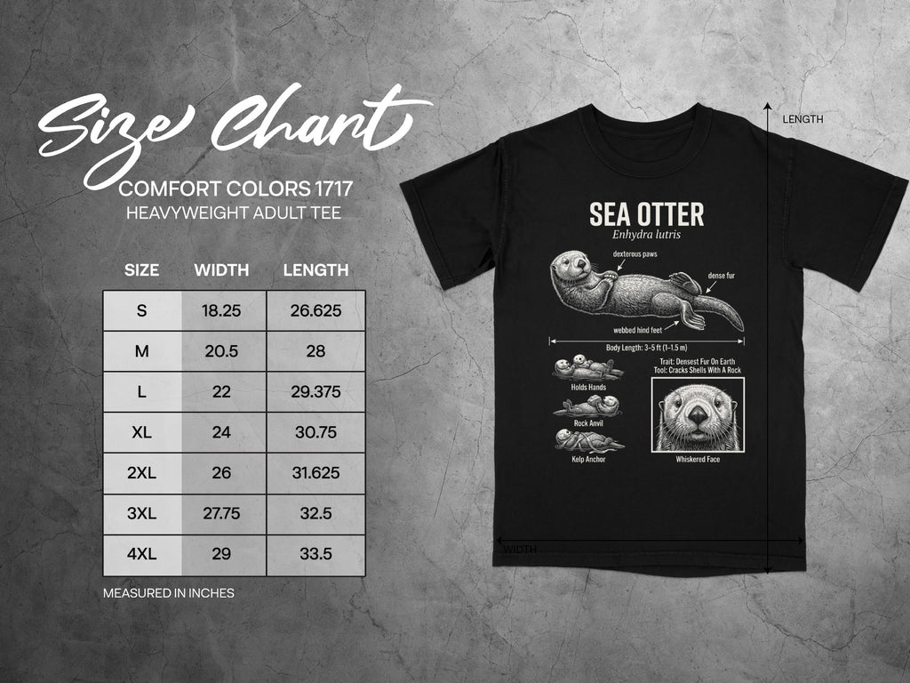 Comfort Colors 1717 garment size chart in inches.