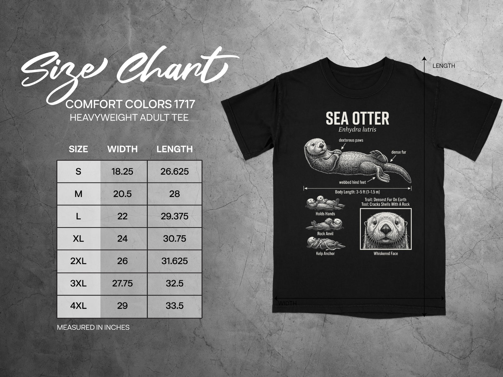 Comfort Colors 1717 garment size chart in inches.