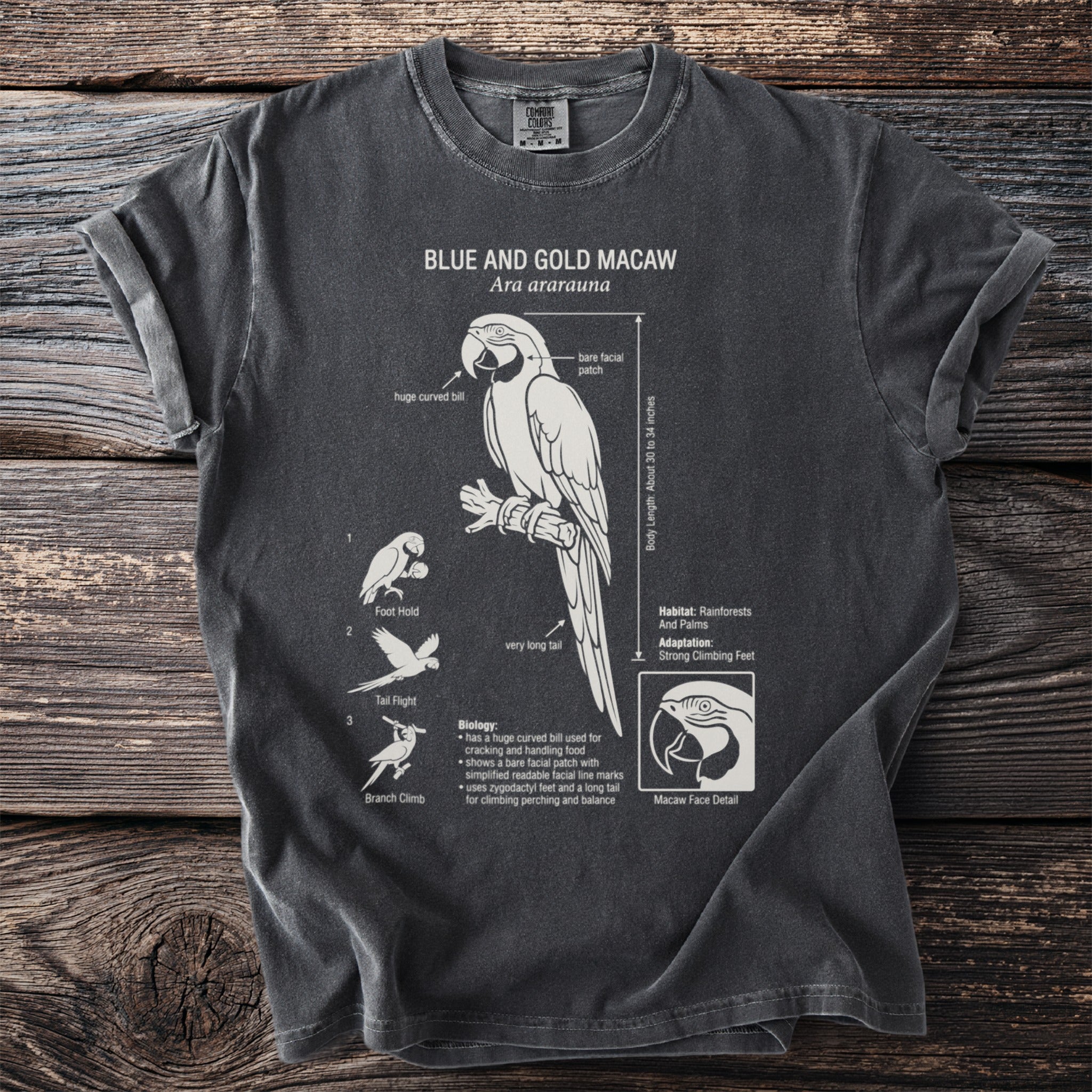 Dark charcoal t-shirt with a graphic of a Blue and Gold Macaw and its biology.