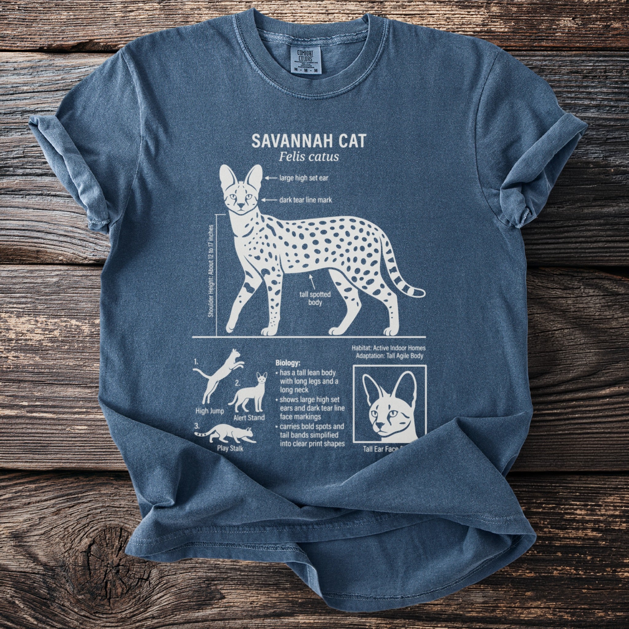 Savannah Cat diagram on a blue t-shirt with text details and illustrations.