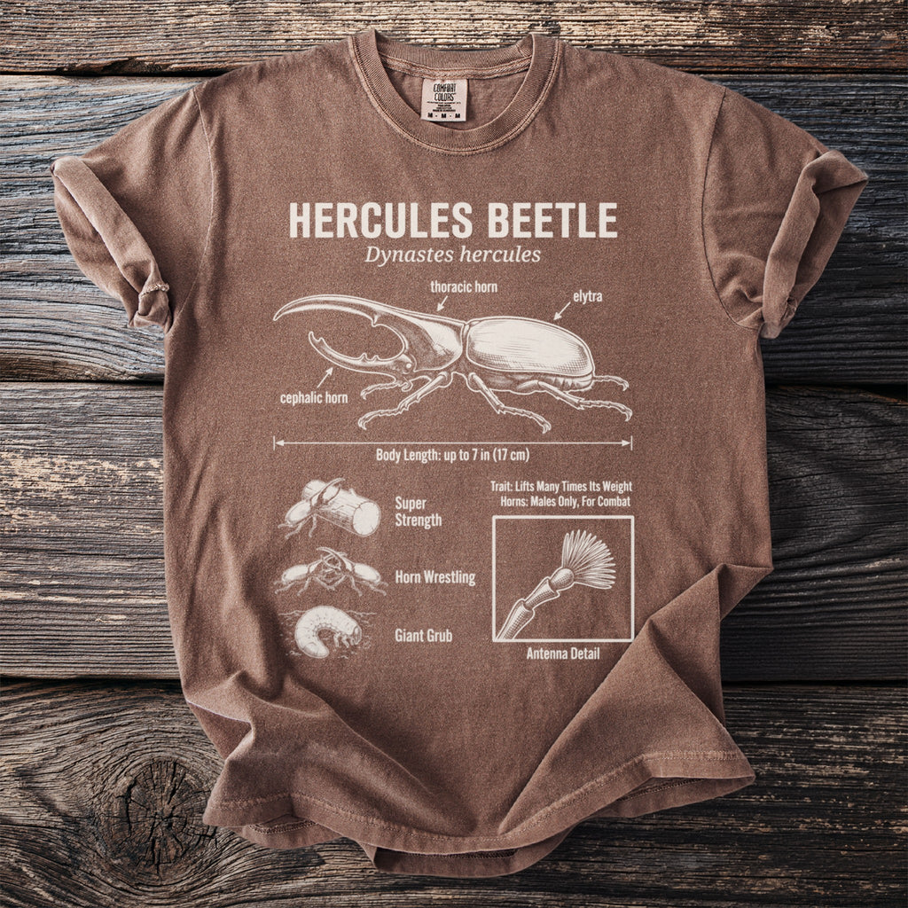 Brown t-shirt with illustrated Hercules beetle and its life stages.