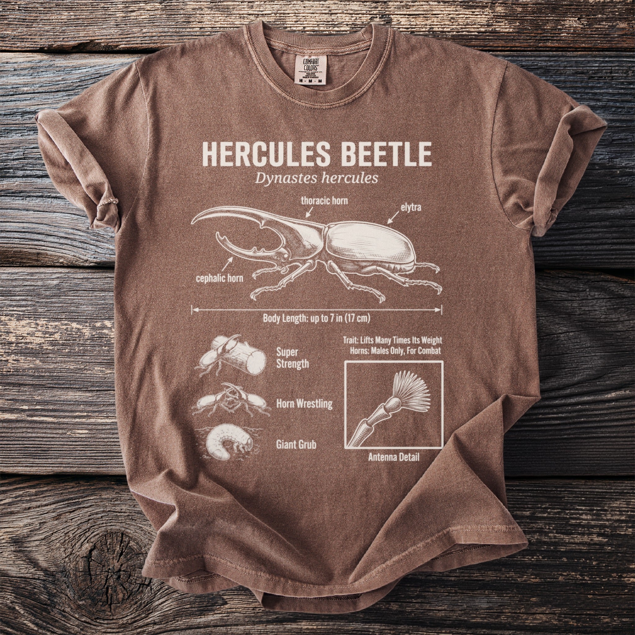 Brown t-shirt with illustrated Hercules beetle and its life stages.