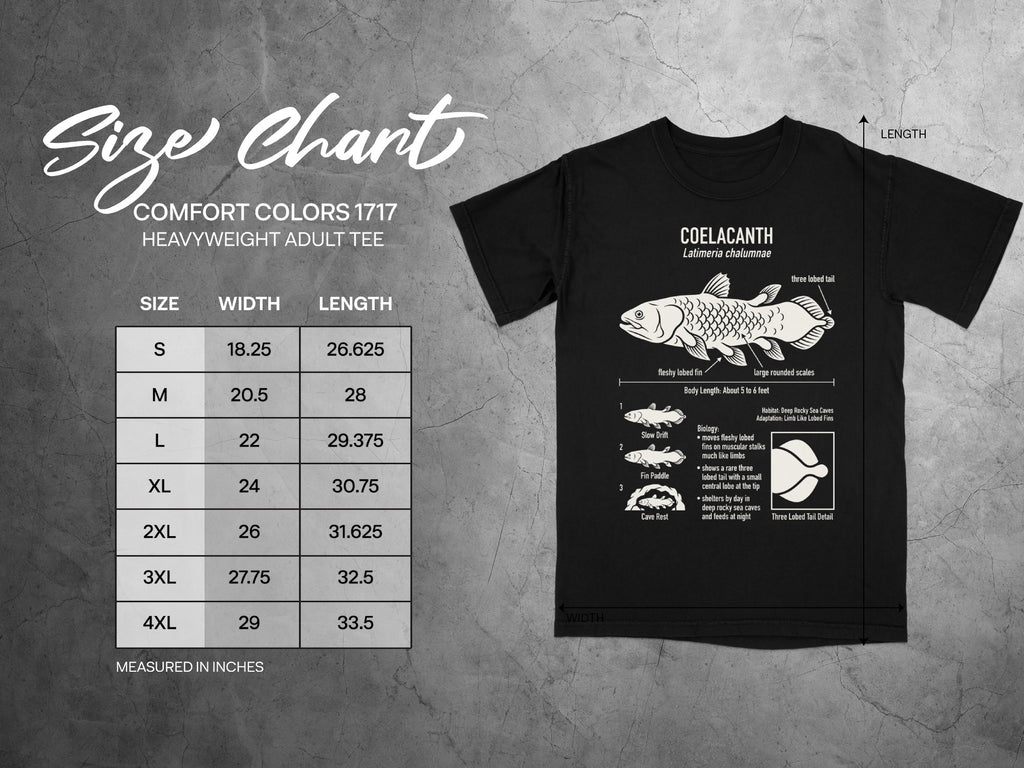 Comfort Colors 1717 heavyweight adult tee size chart with coelacanth illustration.