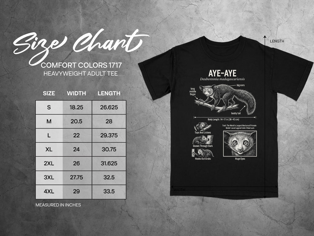 Comfort Colors 1717 garment size chart in inches.