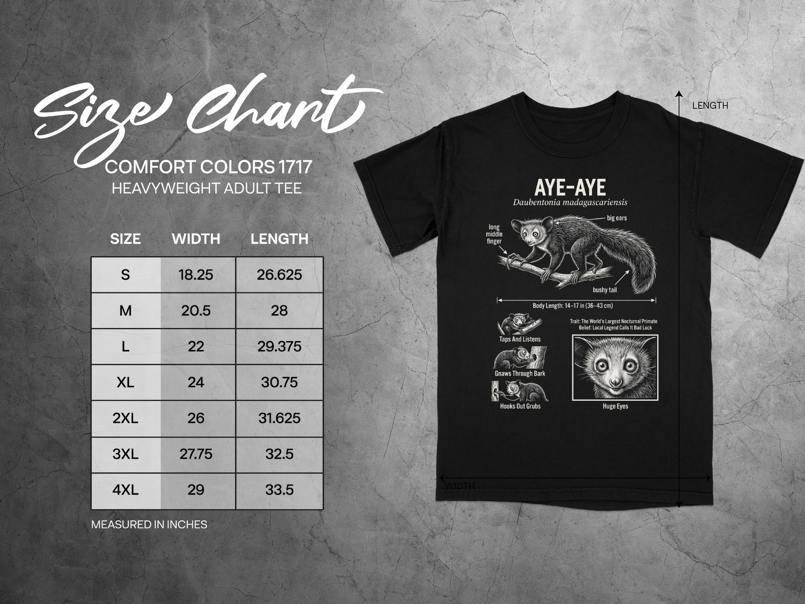 Comfort Colors 1717 garment size chart in inches.