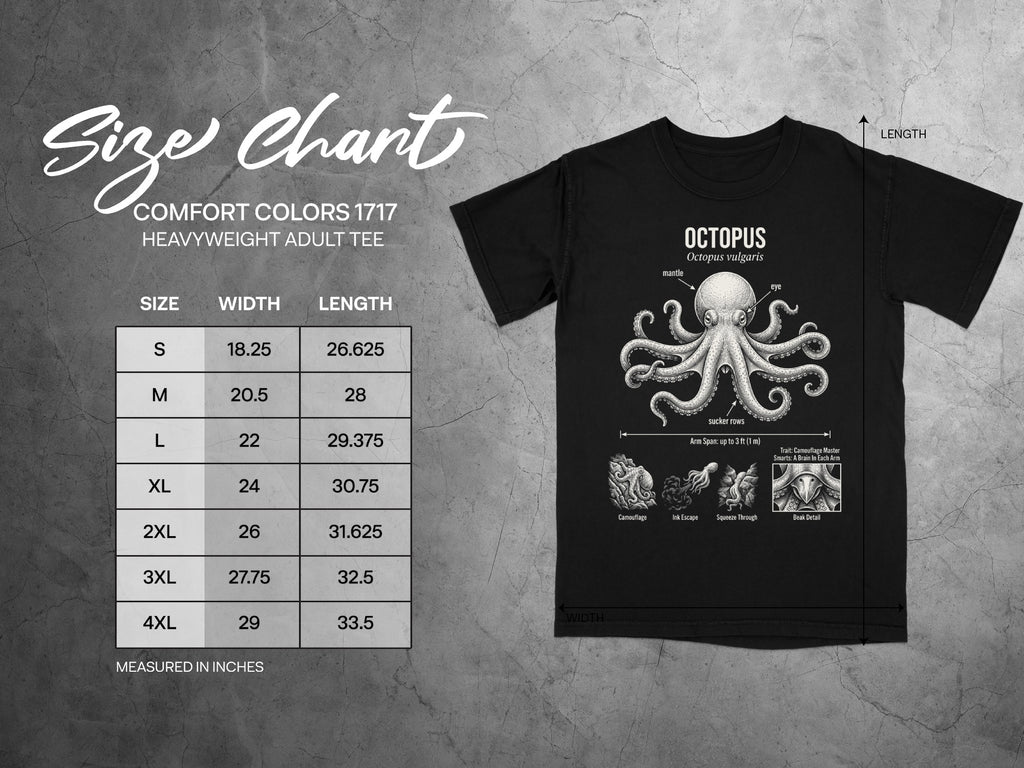 Comfort Colors 1717 garment size chart in inches.