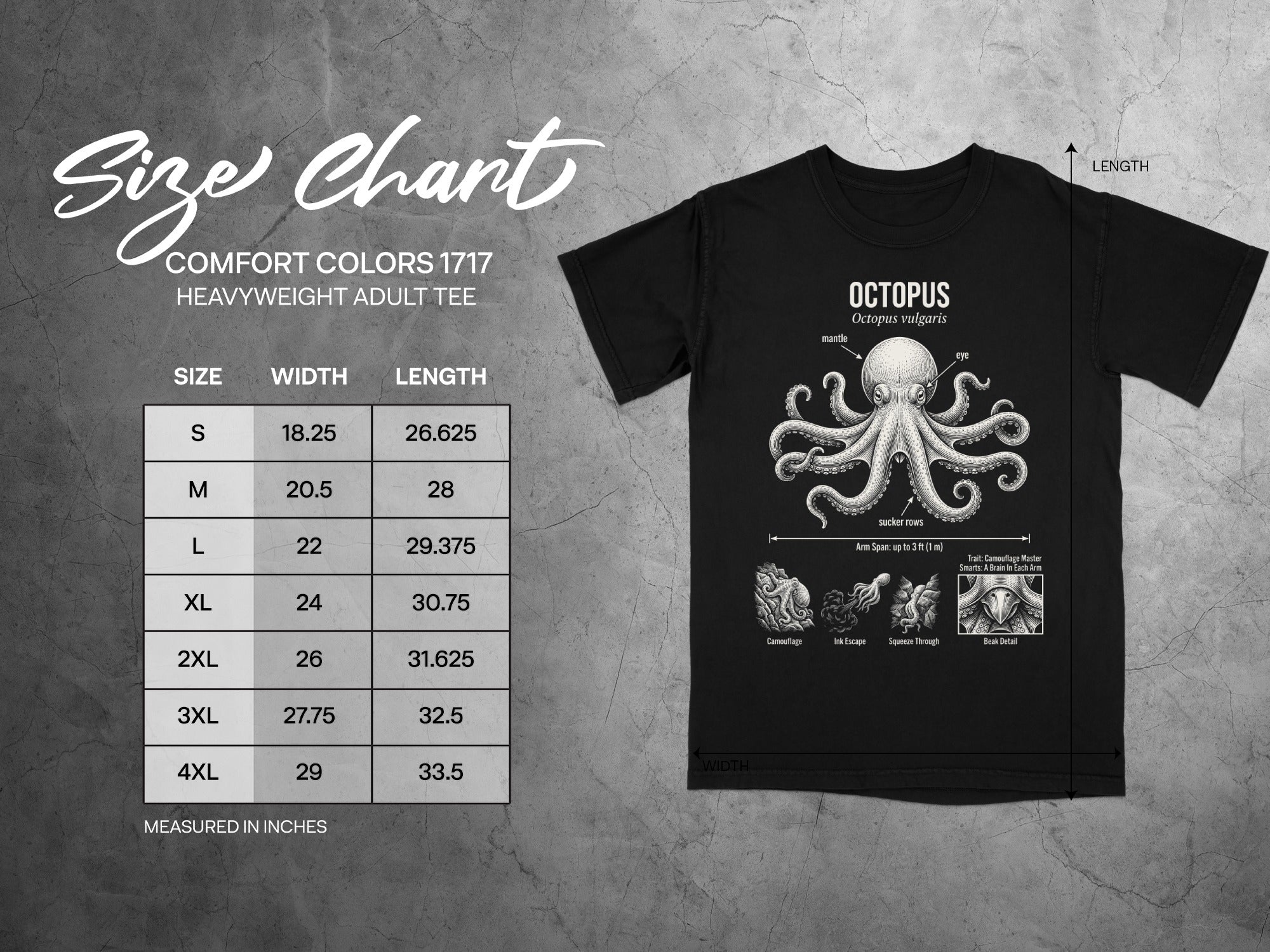 Comfort Colors 1717 garment size chart in inches.
