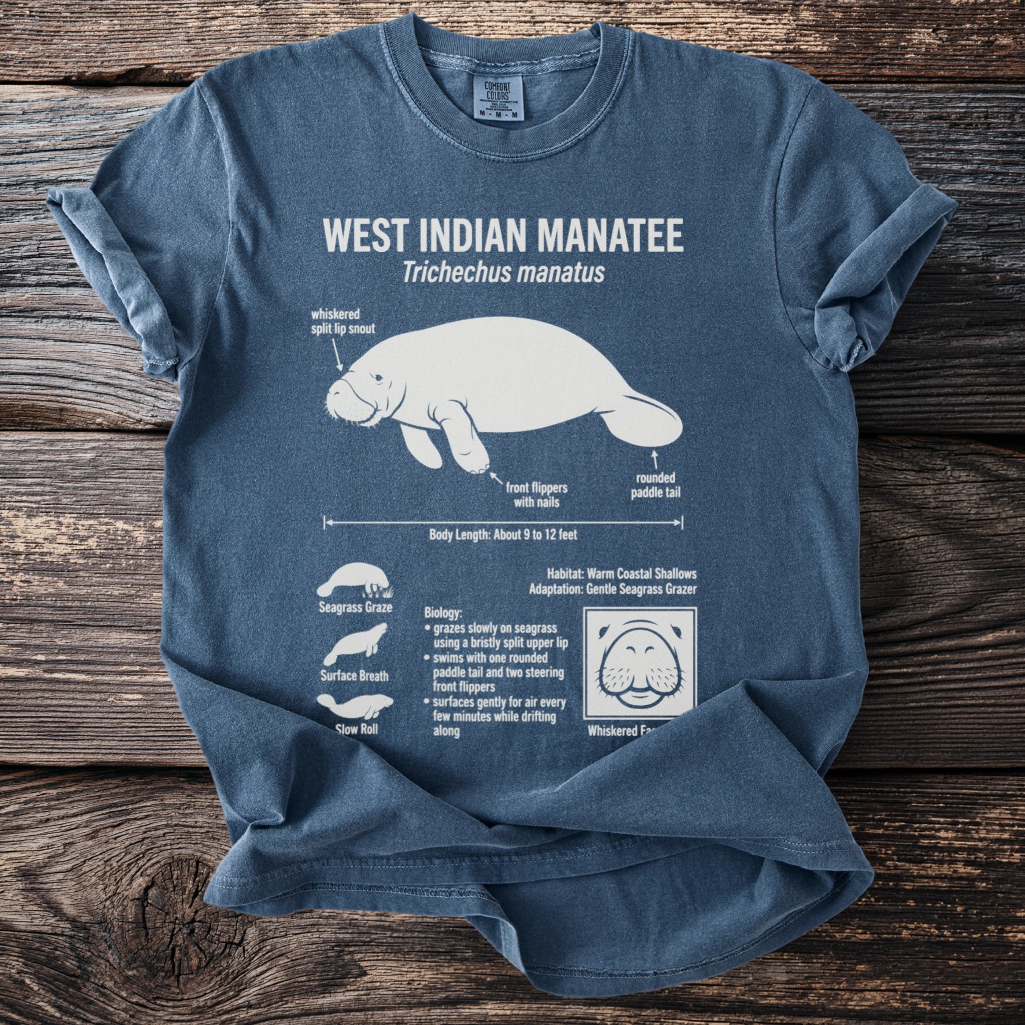 T-shirt with white graphic of West Indian Manatee and its biological information.