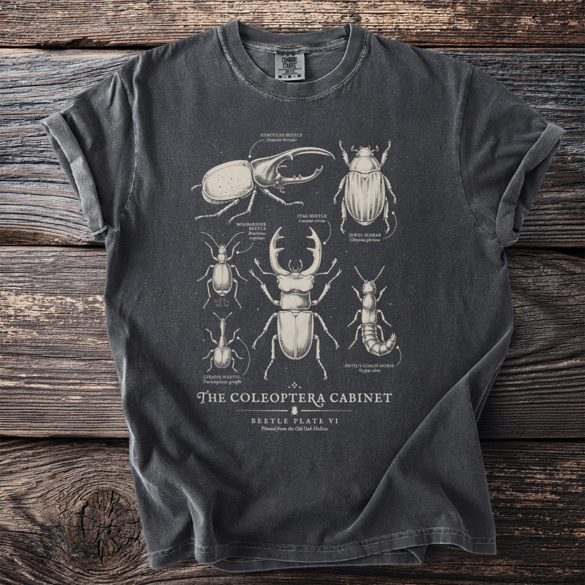 T-shirt with scientific illustrations of beetles labeled "The Coleoptera Cabinet".