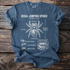 T-shirt with Regal Jumping Spider illustration and scientific details.