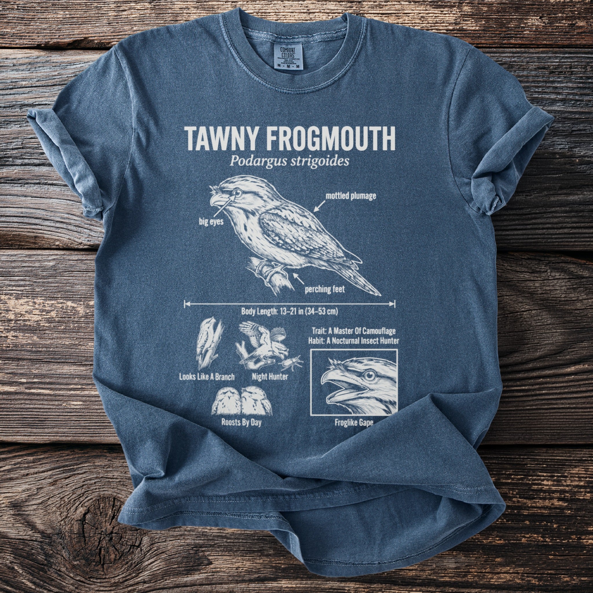 Blue t-shirt featuring an illustration and facts about the Tawny Frogmouth bird.