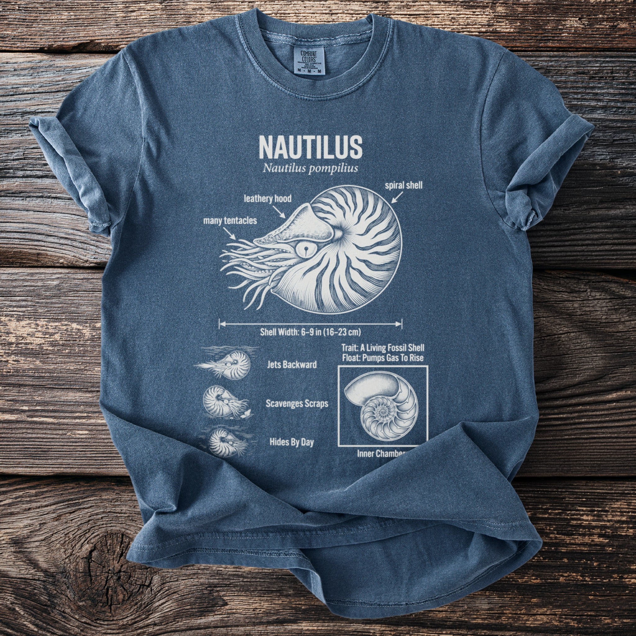Nautilus pompilius diagram on a blue t-shirt with labeled parts.