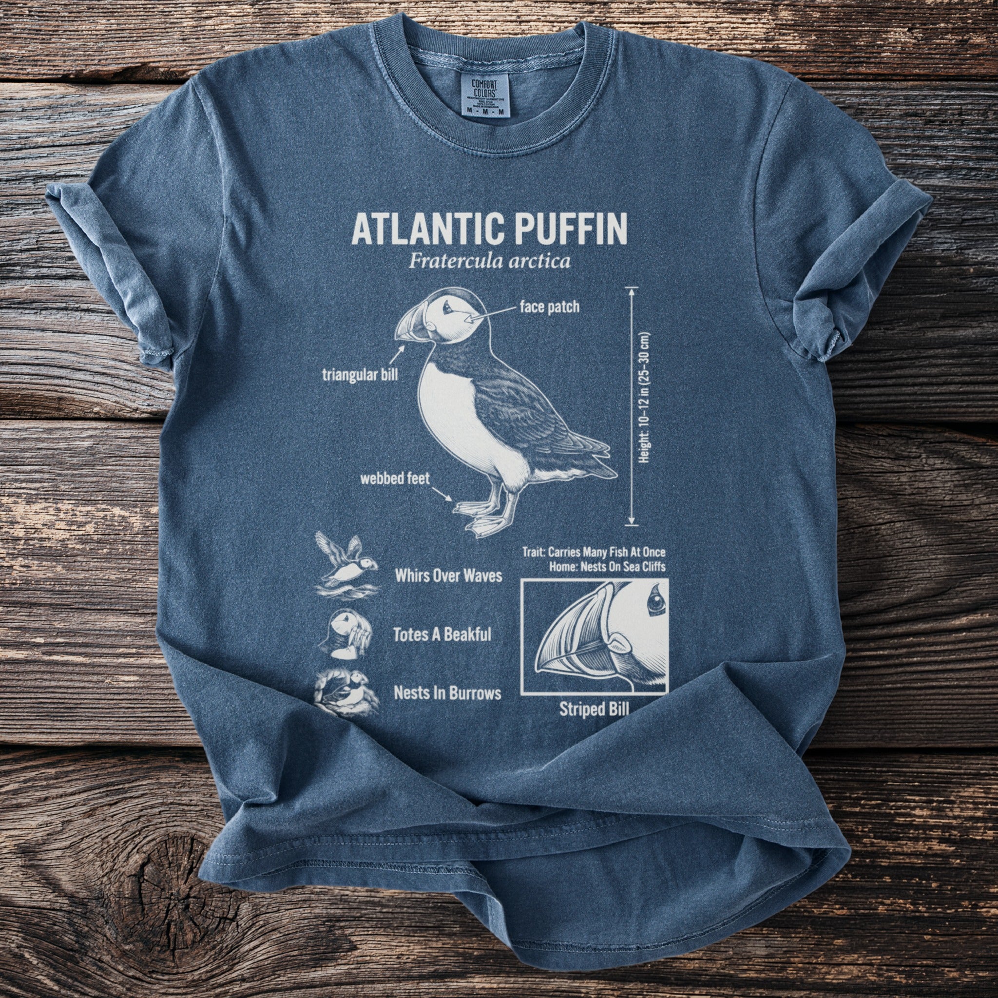 Atlantic Puffin t-shirt with scientific illustration and descriptive text.