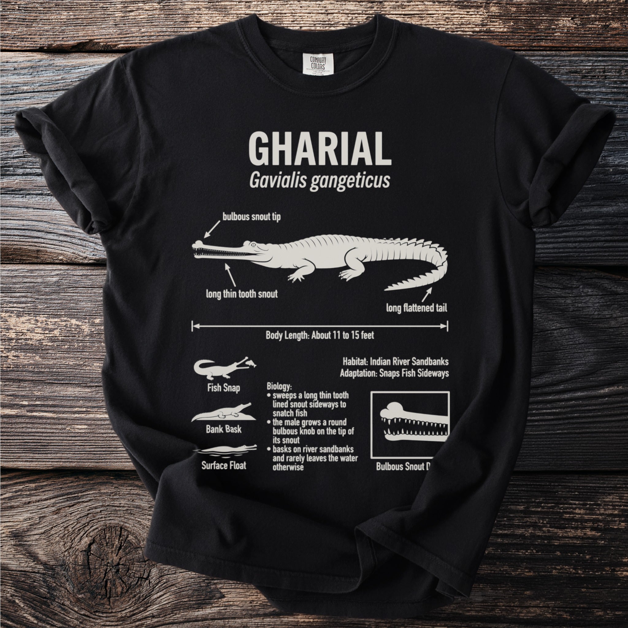 Black t-shirt with white graphic of a Gharial, Gavialis gangeticus, and its features.